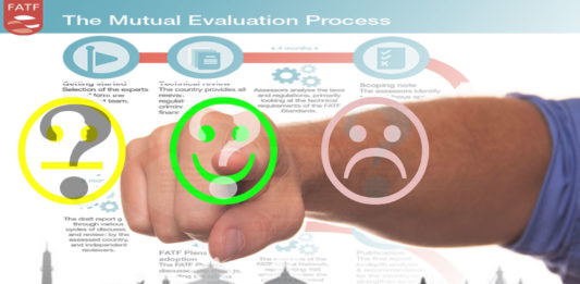 FATF Mutual Evaluation