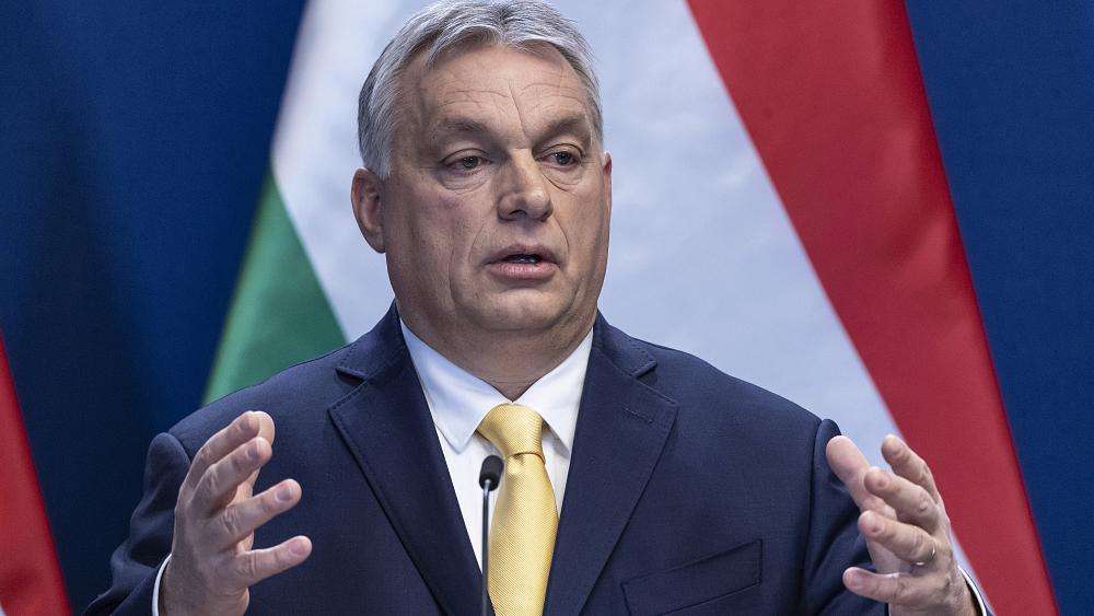 Hungary’s rules for foreign-funded NGOs unlawful, says top EU advisor