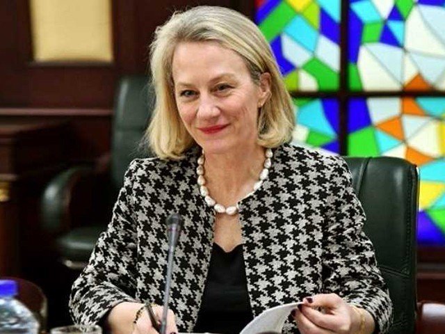 US ‘ready to assist’ Pakistan: Wells