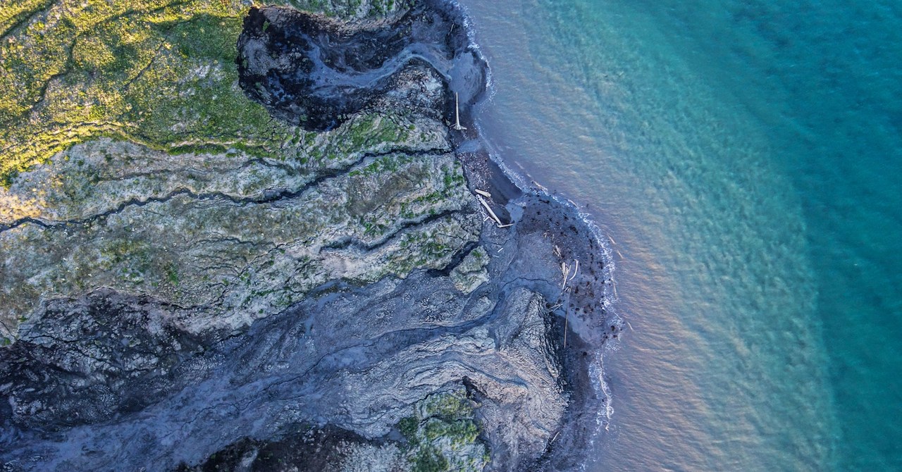 The Arctic Is Getting Greener. That’s Bad News for All of Us