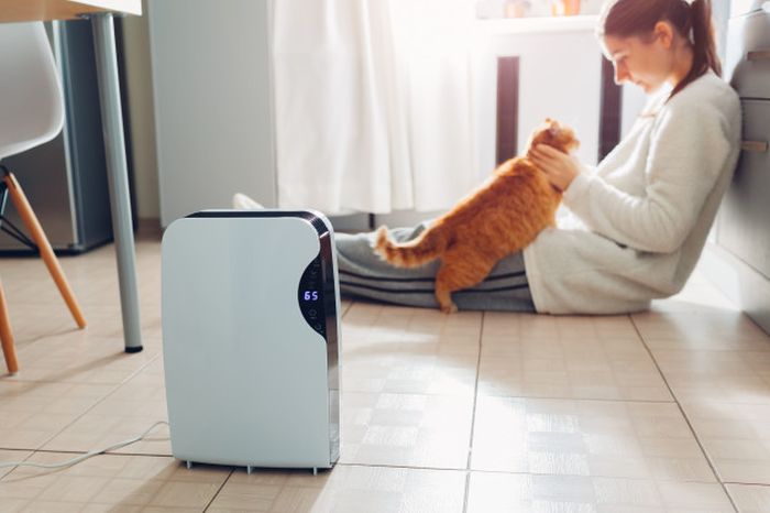 Are Air Purifiers a Waste of Money – 2020 Tips