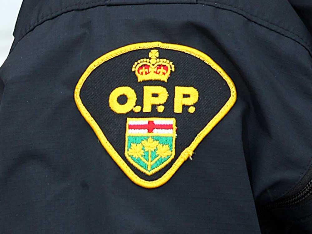 OPP charge Leamington man with 19 property crime offences