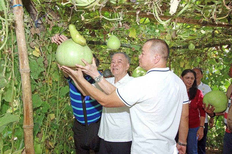 TYKFI food security project brings livelihood to Pinoys