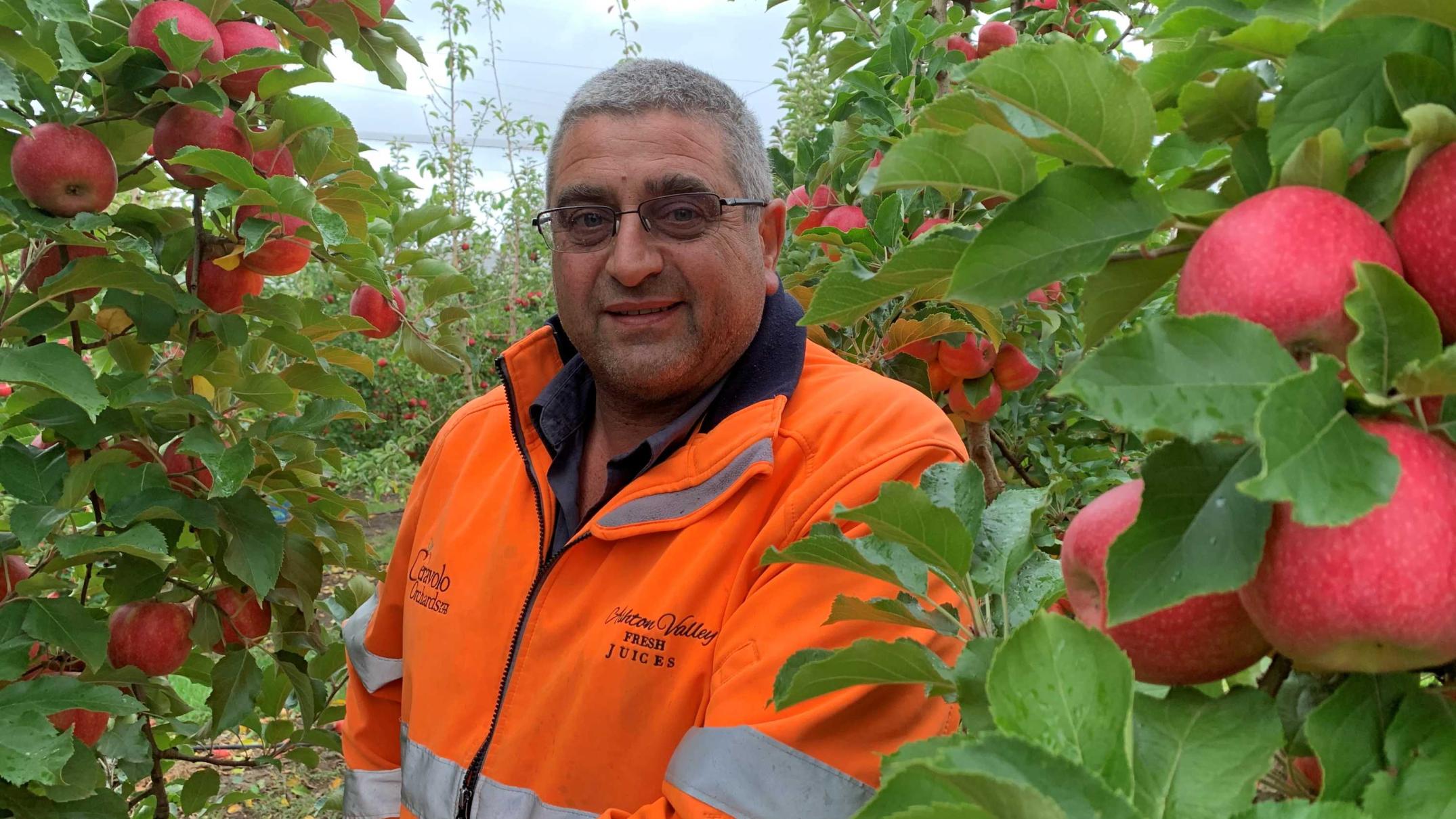 Fears foreign apples could spoil Australian barrel as US imports get biosecurity tick