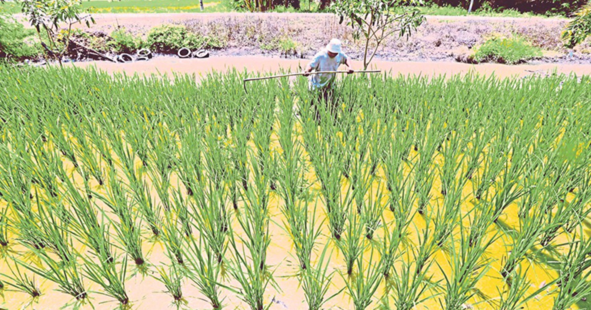 Ensuring food safety, security