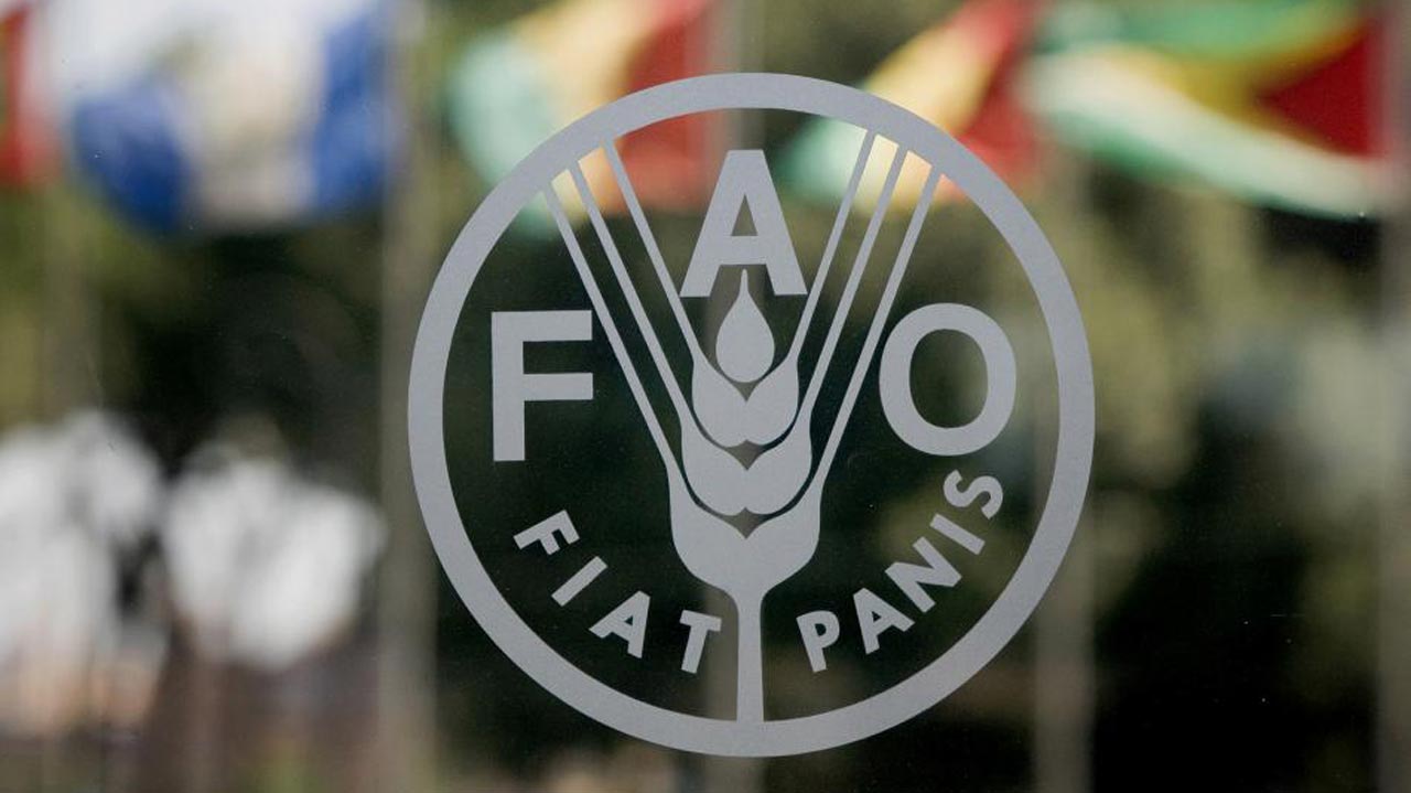 FAO launches Oct/Nov 2020 food security, nutrition report