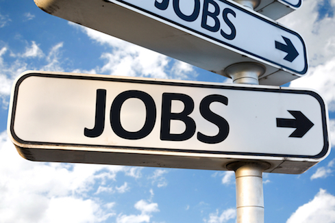 IT Employment Trending Up; Data, Cybersecurity Skills in Demand