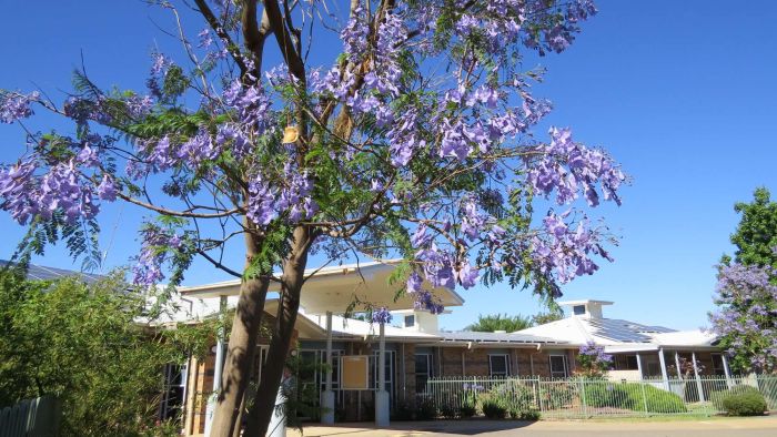 Shame a ‘powerful deterrent’ for former aged care worker who defrauded elderly resident