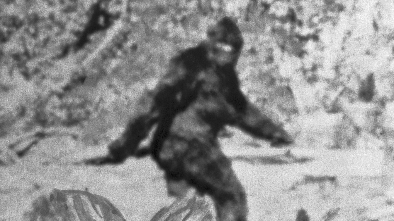 Republican lawmaker likens Trump vote-fraud crusade to the search for Bigfoot