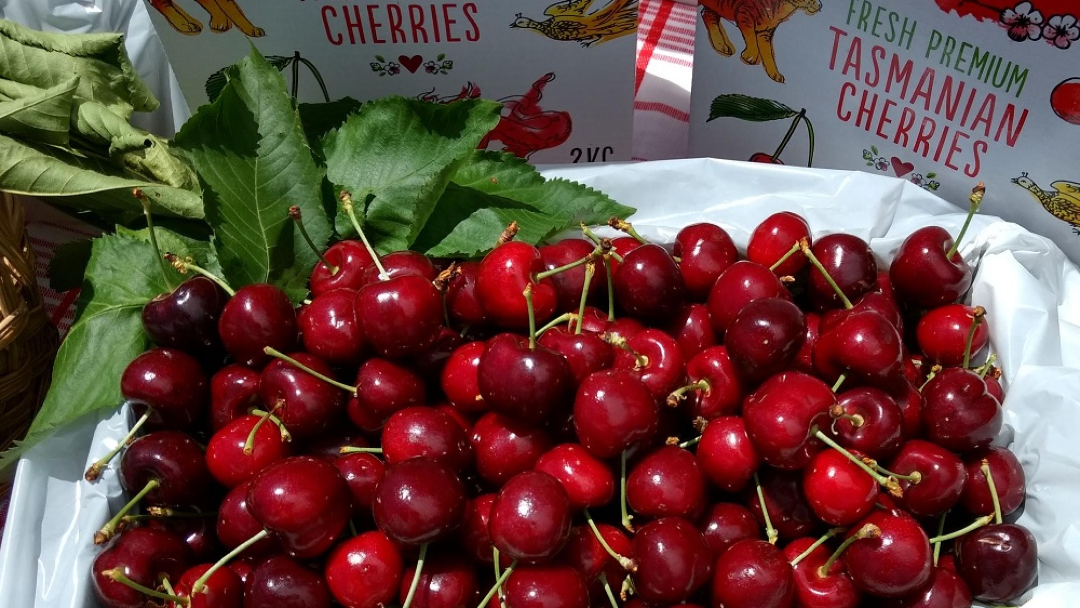 ‘They’re making a lot of money’: Tassie grower welcomes Hong Kong seizure of falsely branded cherries