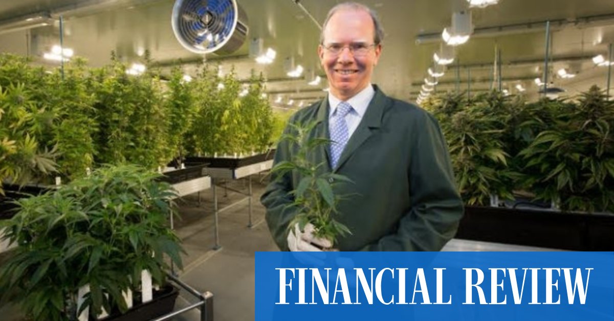 Cann Group flags $3.6m cyber security fraud