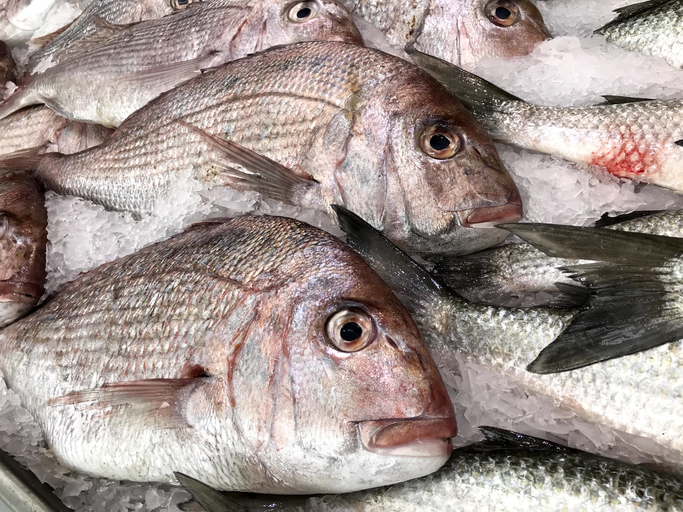 Fish fraud findings: Almost 20% of fish in Taiwan found to be mislabelled