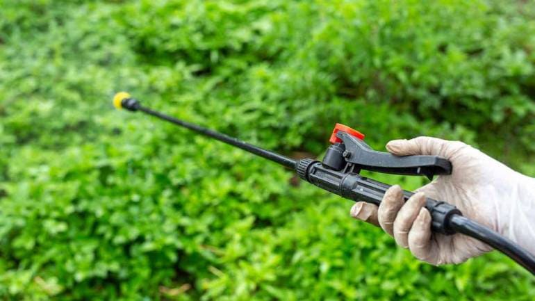 India Pesticides files IPO papers with Sebi, aims to raise Rs 800 crore