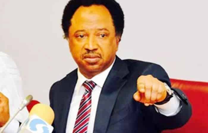 Insecurity: Shehu Sani Reveals Why Sheikh Gumi Is Meeting Bandits