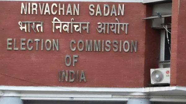 Election security plan, randomisation of forces to be vetted by observers: EC to states