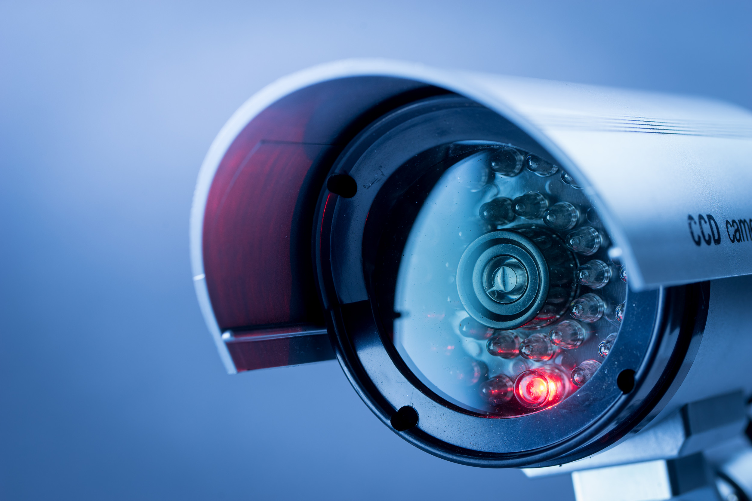 Hackers Target Tesla, Sandy Hook Elementary School in Sweeping Security Camera Breach