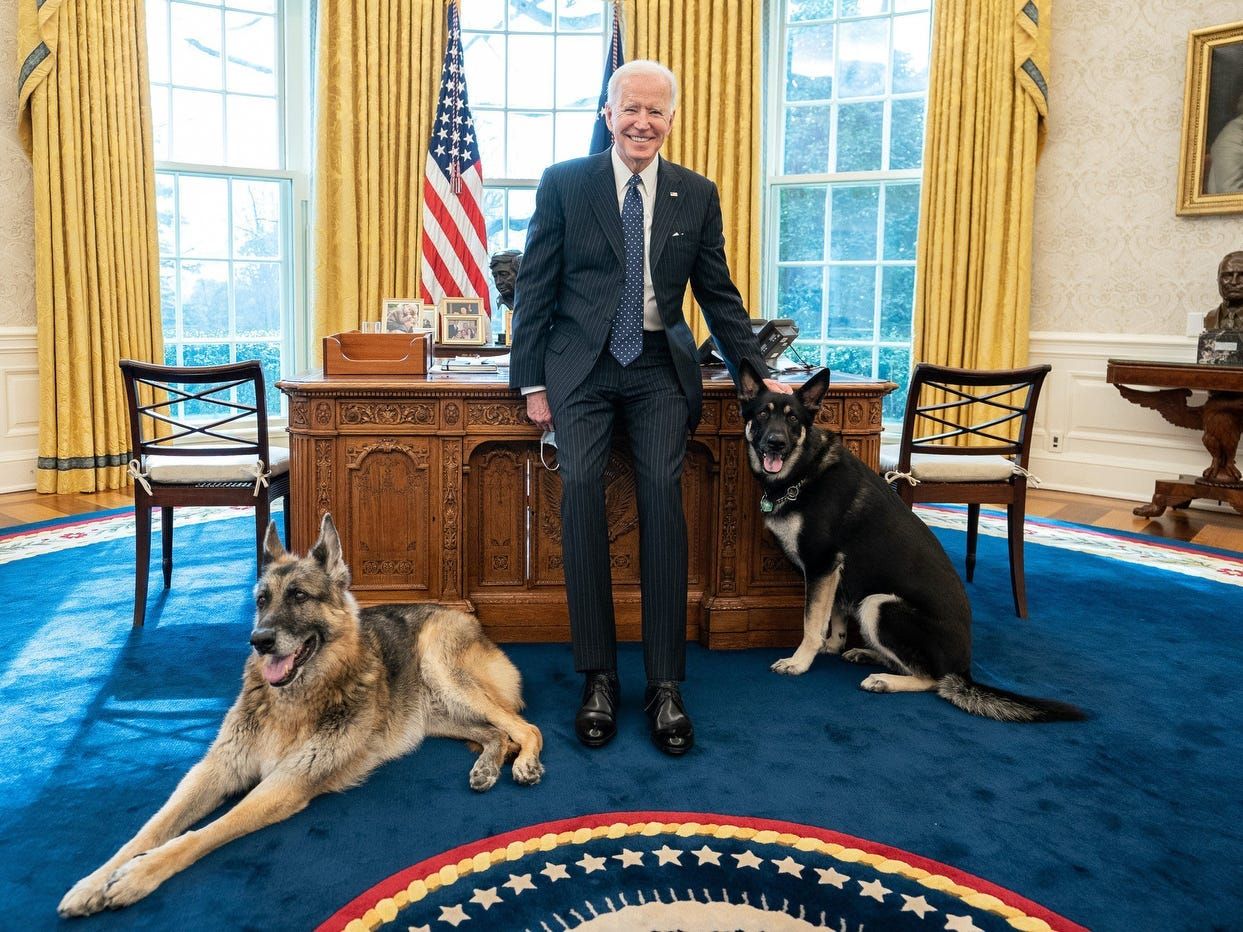 Biden’s German shepherds have been sent home to Delaware after a ‘biting incident’ with White House security officers