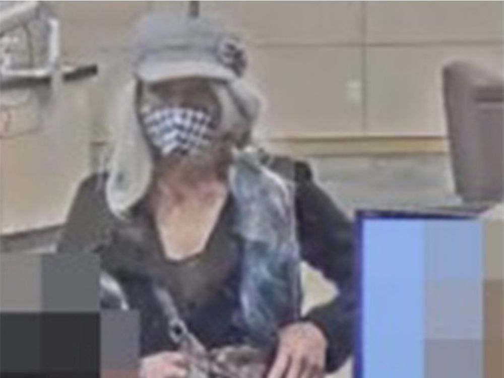 Edmonton city police seek suspects in connection to cheque fraud totaling more than $250,000