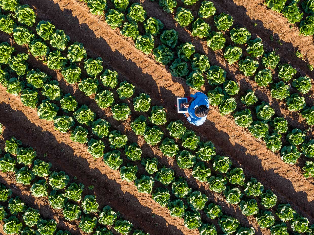 Cybersecurity Report: “Smart Farms” Are Hackable Farms
