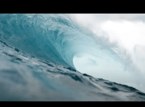 American Security Project Partners With Sea Shepherd, Will Host Event On Netflix ‘Seaspiracy’ Documentary