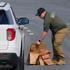 US Navy medic shoots two sailors at military facility, is killed by security forces