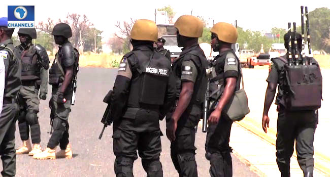 Insecurity: Nigeria Police Needs More Money, Motivation, Says Ex-CP