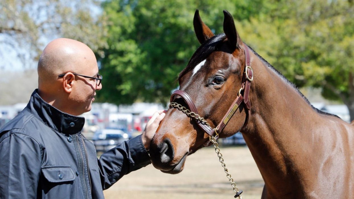 Billionaire Australian Racehorse Investor Breaks Ties After Frozen Prize Money Amid Crypto Scam