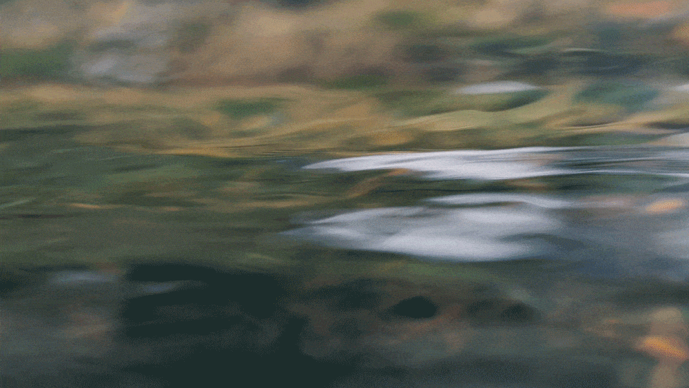 Q&A: How climate change is affecting water security in Canada and around the world