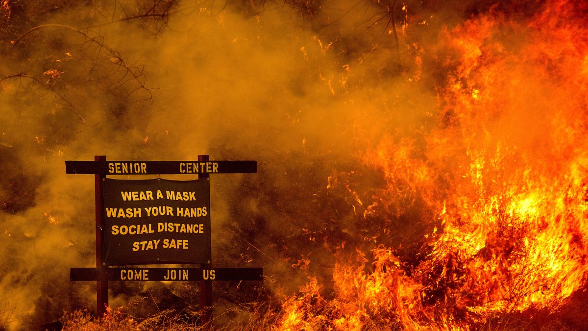 Murder Cover-Up: Man Allegedly Set Deadly Wildfire to Hide His Crime