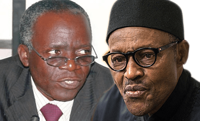 Insecurity: Why US Govt May Not Help Buhari – Falana