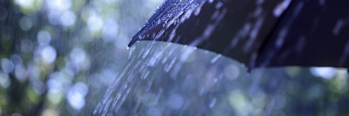 HMRC facing calls to do more to tackle mini umbrella fraud in wake of BBC investigation