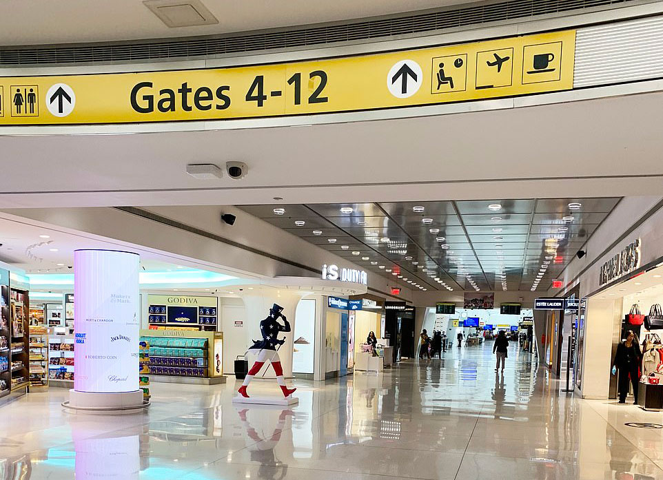 Nigerian Suspect In $650m Washington Fraud Nabbed At New York Airport