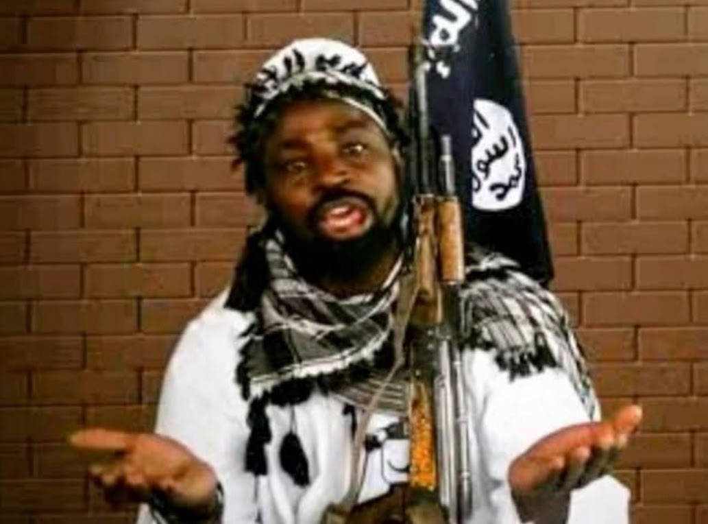 ANALYSIS: What Shekau’s death means for security in Nigeria, Lake Chad