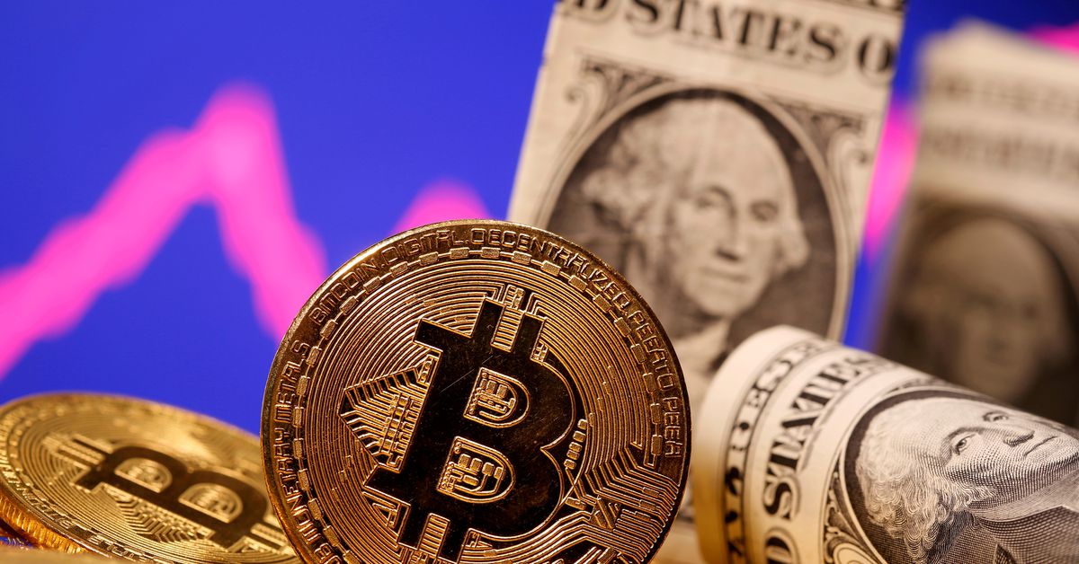 Musk says he supports crypto in battle with fiat money
