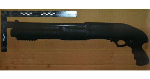 Spiders’ web of gun crime criminals sentenced