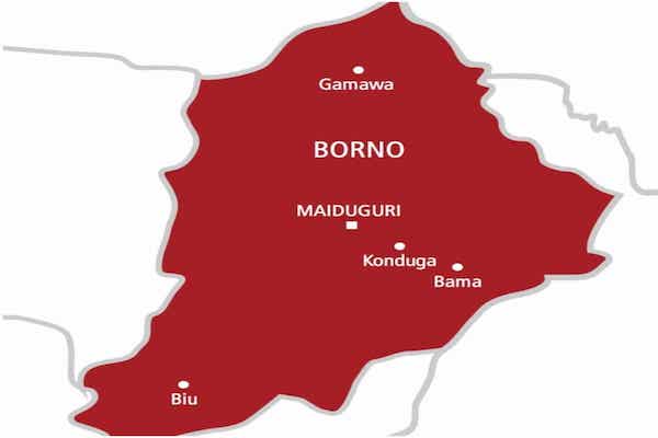 “Some Local Government Areas In Borno Exist Just In Name With No People”—Borno Speaker Calls Attention To Council Fraud