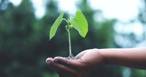7 ways that being part of Singapore’s Green Plan will help you save money
