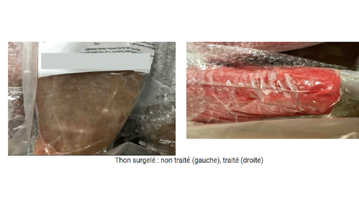 Almost 80 tons of tuna seized in Belgian fraud operation