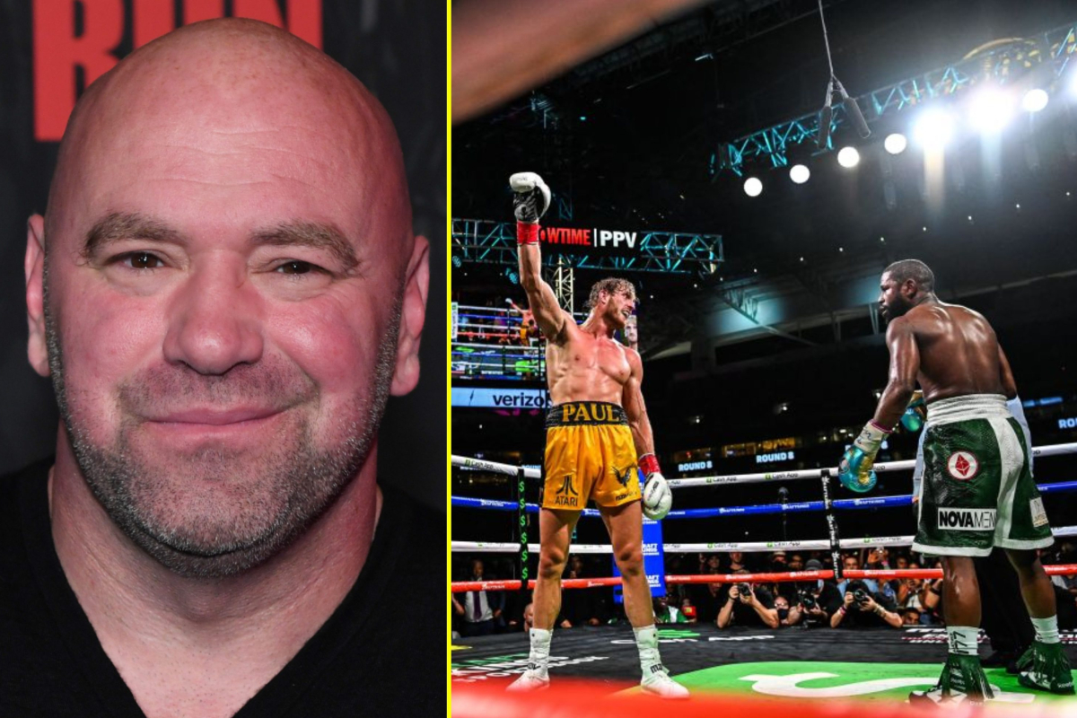 Dana White trends on Twitter as Francis Ngannou wonders what UFC fighters are doing wrong while watching Logan Paul make a lot of money for Floyd Mayweather fight