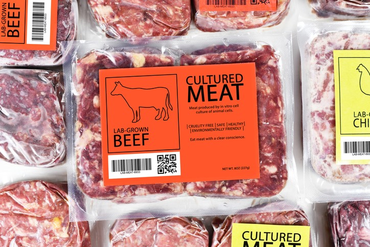 Safety and security: APAC cell-based meat sector calls for more organised IP protection and governance to accelerate scale-up