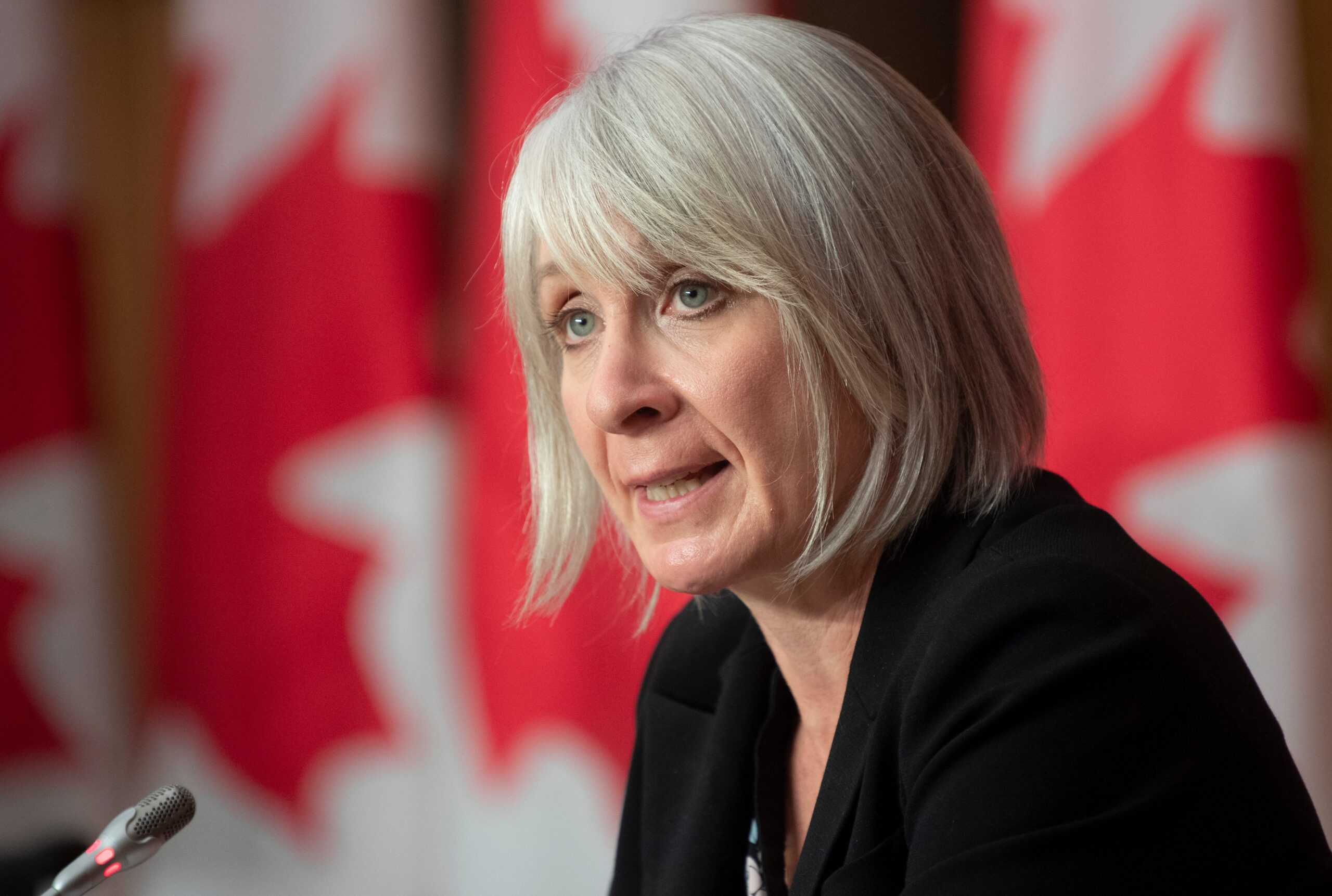 Hajdu says handing over Winnipeg lab documents has ‘national security’ implications