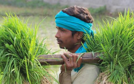 Protecting Climate and Achieving Food Security