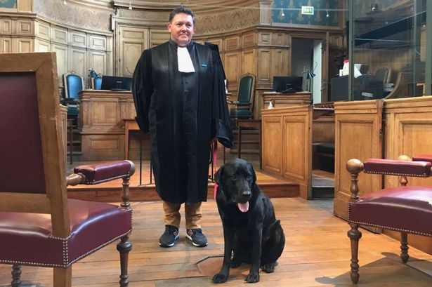 Specially-trained dog works in court to help soothe anxious victims of crime