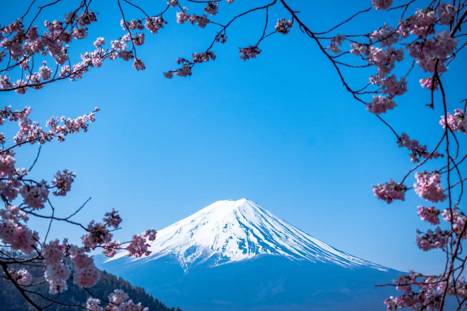 Japan’s financial regulator calls out Binance for operating without a license
