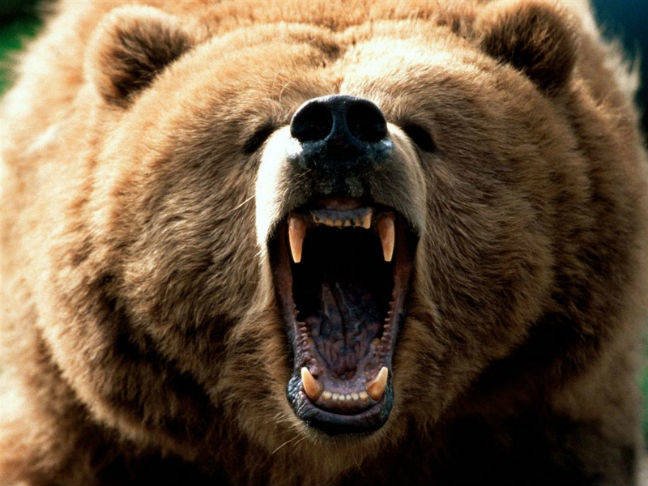 Good guy Russia gives enterprises, cloud platforms a free brute-force security test using Kubernetes clusters
