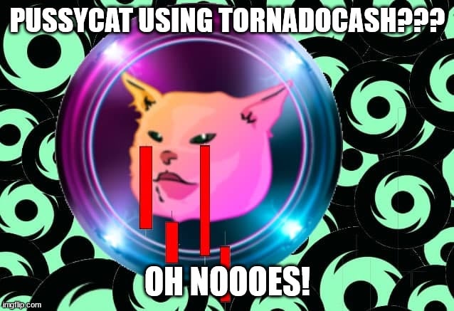 Crypto Ponzi Scheme – Pussy Financial