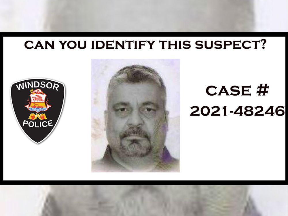 Windsor police seek fraud suspect