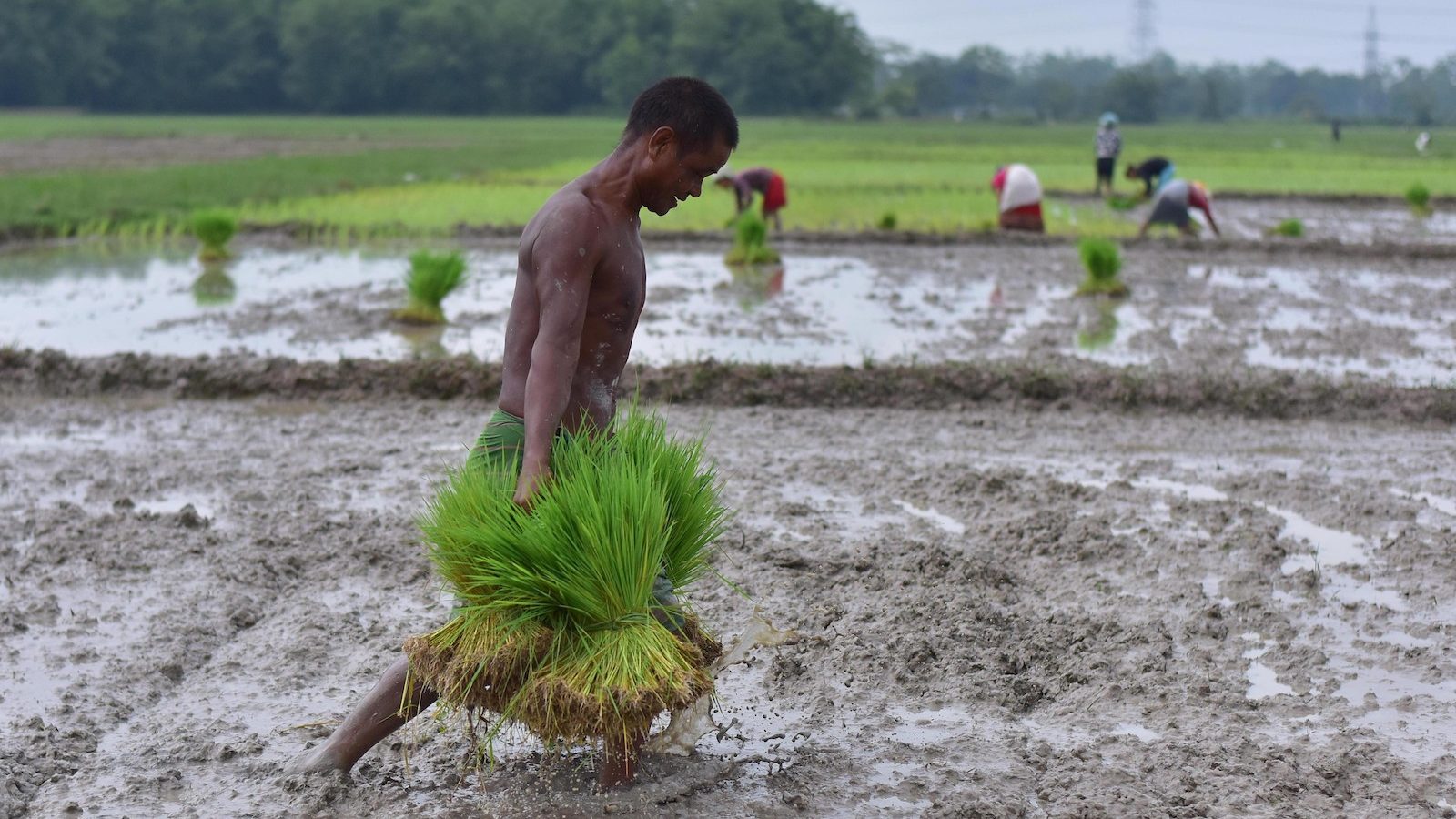 Scientists have long warned climate change threatens our food security. Now they’re finding solutions.