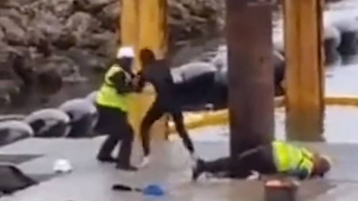 Watch: Security at Waiheke Island marina kicks protester in the face