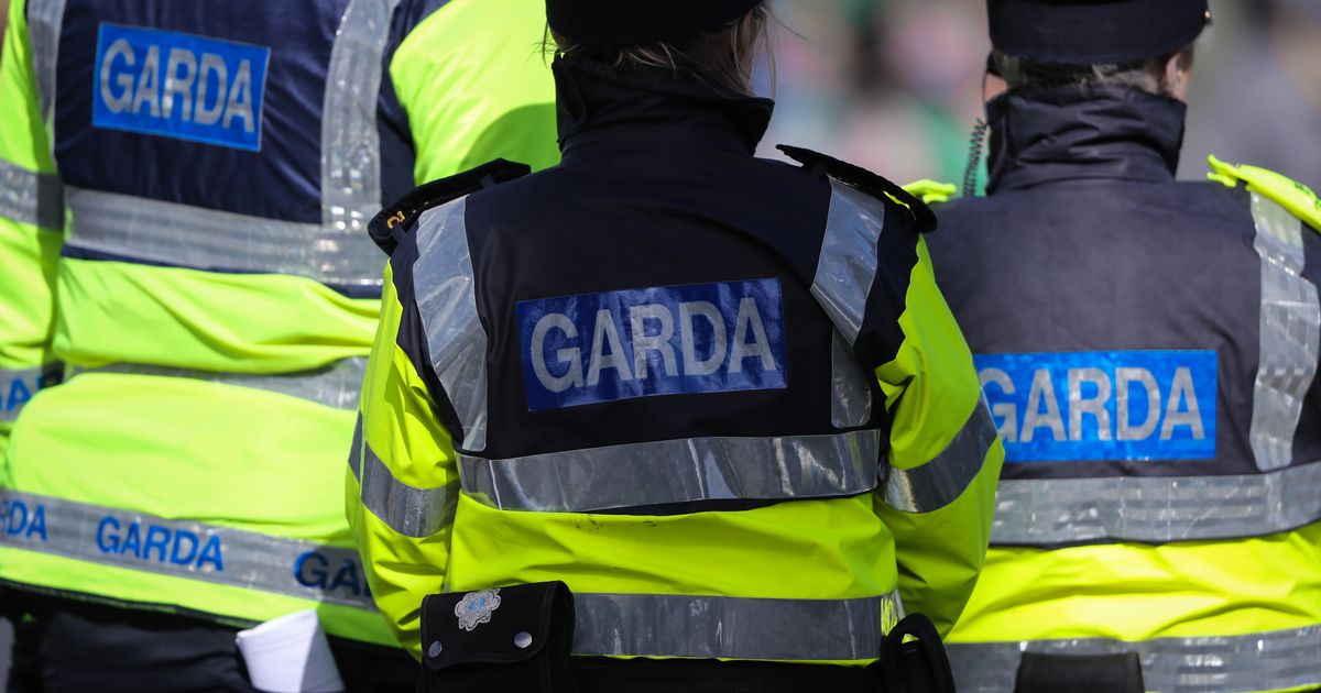 Gardai issue important crime-proofing advice for homeowners and businesses
